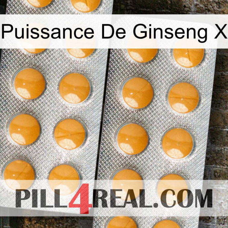 Ginseng Power X levitra2